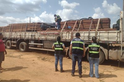 notícia: Secretaria da Fazenda apreende 25m3 de madeira serrada em Dom Eliseu