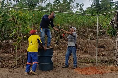 notícia: Ideflor-Bio instala viveiro agroflorestal em comunidade ribeirinha da APA Lago de Tucuruí