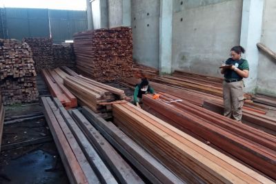 notícia: Semas e PF detêm em flagrante dono de serraria e apreendem 340 metros cúbicos de madeira
