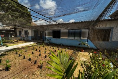 notícia: Estado impulsiona desenvolvimento sustentável no Marajó com a entrega de três viveiros de mudas em Soure
