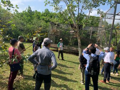 notícia: Visitantes colombianos conhecem fauna e flora amazônica no Parque Estadual do Utinga