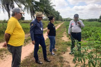 notícia: Adepara recebe visita técnica de intercâmbio de fiscais agropecuárias de Roraima