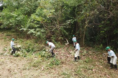 notícia: Parceria promove a limpeza da área do Novo Parque Ambiental de Castanhal