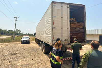 notícia: Secretaria da Fazenda (Sefa) apreende 35m³ de madeira serrada em Marabá 