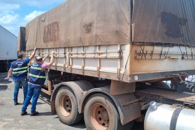 notícia: Sefa apreende mais de 37 toneladas de gergelim em Dom Eliseu