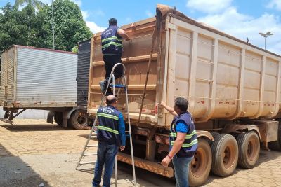 notícia: Secretaria da Fazenda (Sefa) apreende 14 toneladas de fertilizantes em Dom Eliseu