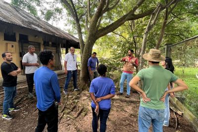 notícia: Equipe técnica do Mangal das Garças recebe treinamento sobre manejo de animais