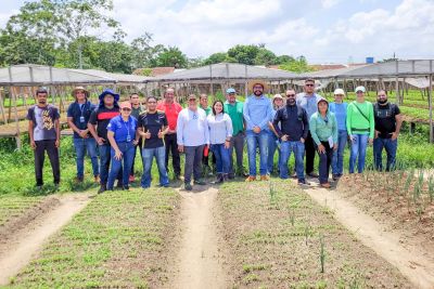 notícia: Semas capacita técnicos e produtores rurais de Mosqueiro e Ananindeua para uso de aplicativo