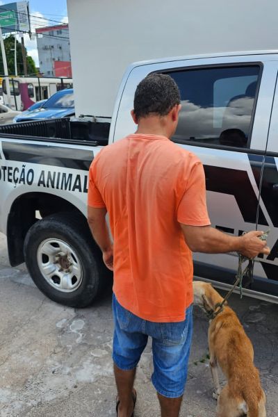 notícia: Polícia Civil prende homem em flagrante por maus-tratos a cachorro