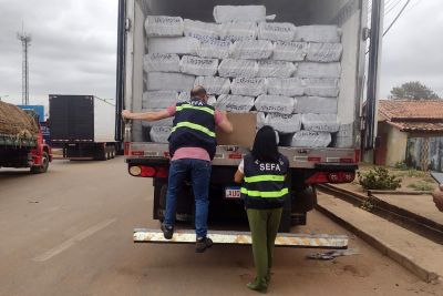 notícia: Sefa apreende 28 toneladas de açaí, em Dom Eliseu, transportadas ilegalmente ao Paraná
