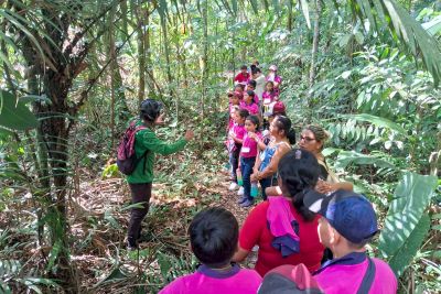 notícia: Alunos de escola de Salinópolis desbravam natureza do Parque Estadual do Utinga