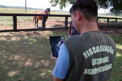 notícia: Utilizando tablets, Agência Agropecuária do Pará moderniza atendimento no campo