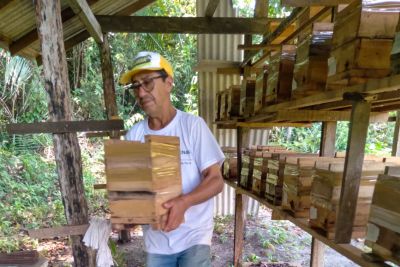 notícia: Empresa de Assistência Técnica e Extensão Rural incentiva apicultura em Quatipuru