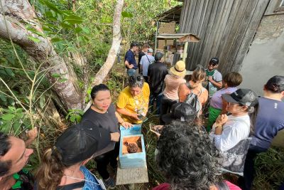 notícia: 'Paisagens Sustentáveis da Amazônia' conhece ações de proteção da biodiversidade