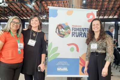 notícia: Em Brasília (DF), Emater participa de encontro sobre inclusão produtiva rural