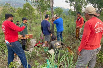 notícia: Ideflor-Bio promove curso de sinalização de trilhas no Parque Estadual Serra dos Martírios/Andorinhas