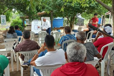 notícia: Emater promove oficina para incentivar cadeia produtiva da mandioca em Nova Ipixuna
