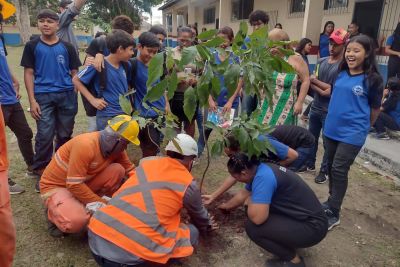 notícia: Escola em Belém recebe palmeira transplantada pelo BRT Metropolitano