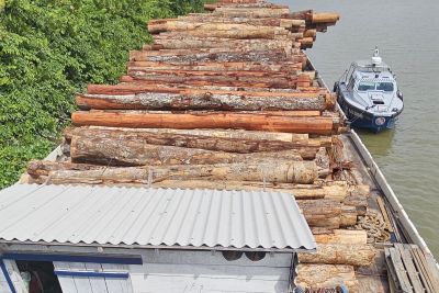 notícia: Agentes da Base Fluvial apreendem mais de 800 metros cúbicos de madeira no Marajó