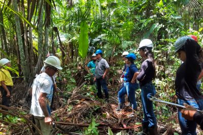 notícia: Ideflor-Bio e Unifesspa promovem oficina de manejo de açaizais de grota em Nova Ipixuna