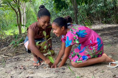 notícia: Parceria garante ação de reflorestamento e educação ambiental em São Geraldo do Araguaia