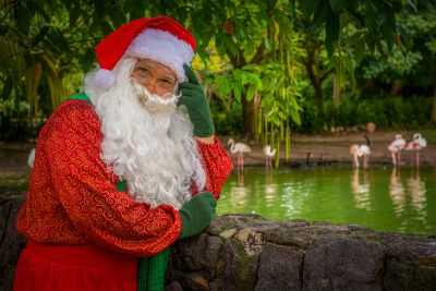 notícia: Mangal terá visita do papai Noel e oficina infantil gratuita na véspera do Natal