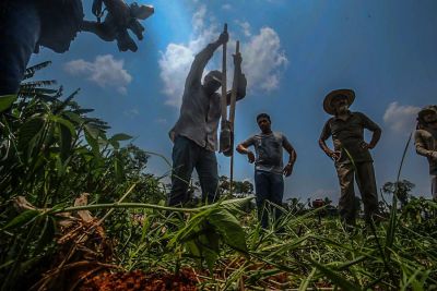 notícia: Estado fortalece o Funtrad e a política de combate ao trabalho escravo no Pará