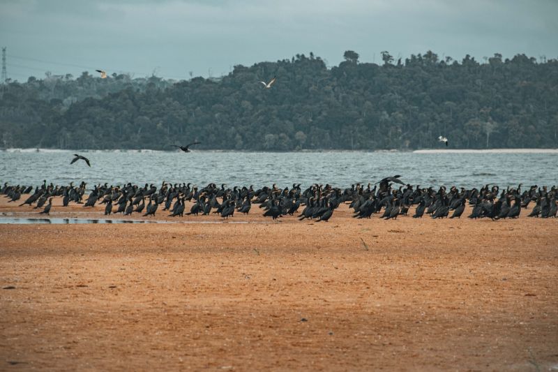  <div class='credito_fotos'>Foto: Victor Baia / Divulgação   |   <a href='/midias/2024/originais/18004_0f3e81f3-b388-b327-7122-607c635dc879.jpg' download><i class='fa-solid fa-download'></i> Download</a></div>