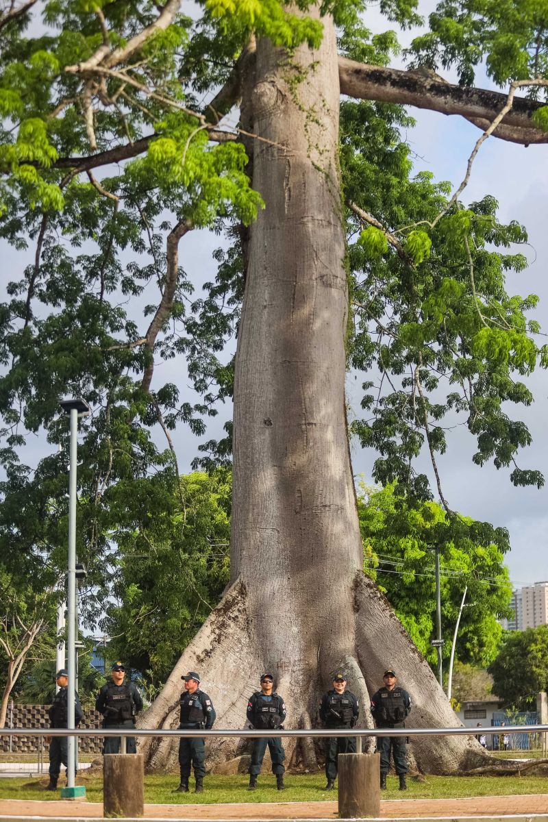  <div class='credito_fotos'>Foto: Bruno Cecim / Ag.Pará   |   <a href='/midias/2024/originais/18030_4f1147f6-d9a1-5753-8dd1-7ab087cc75ae.jpg' download><i class='fa-solid fa-download'></i> Download</a></div>