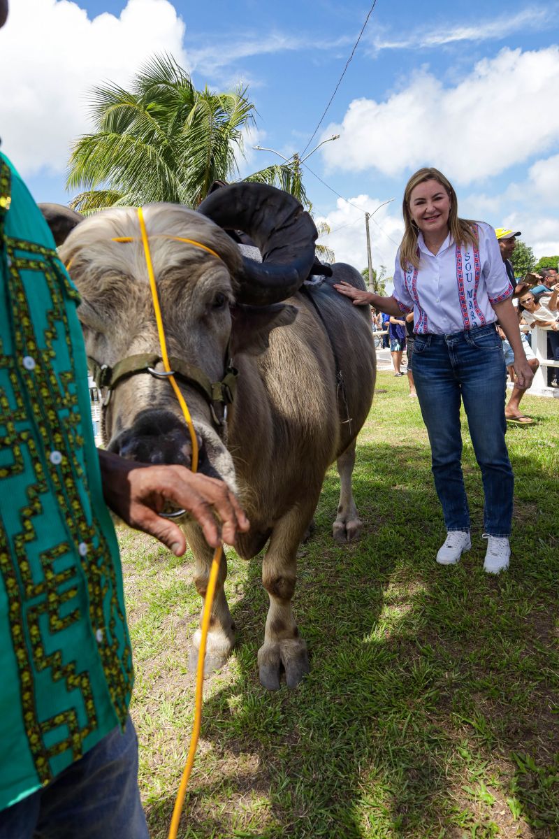  <div class='credito_fotos'>Foto: Pedro Guerreiro / Ag. Pará   |   <a href='/midias/2024/originais/18062_bee0f595-514a-b237-6b0c-cc065aa5fdc3.jpg' download><i class='fa-solid fa-download'></i> Download</a></div>