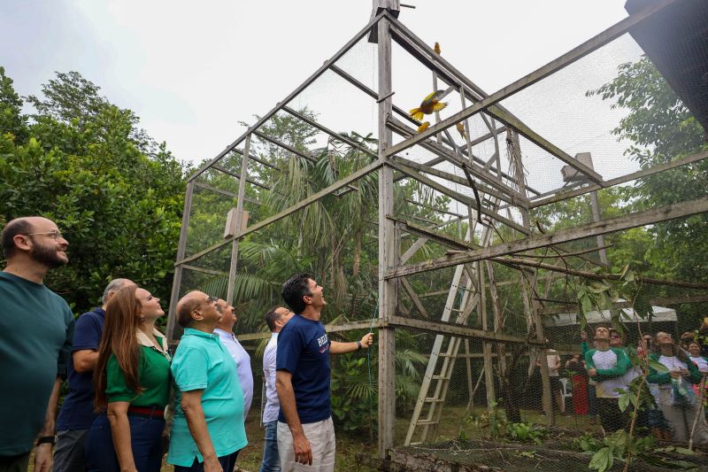  <div class='credito_fotos'>Foto: Rodrigo Pinheiro / Ag.Pará   |   <a href='/midias/2024/originais/18073_551f259e-2e1a-f43a-78a5-25f6b8fbee60.jpg' download><i class='fa-solid fa-download'></i> Download</a></div>