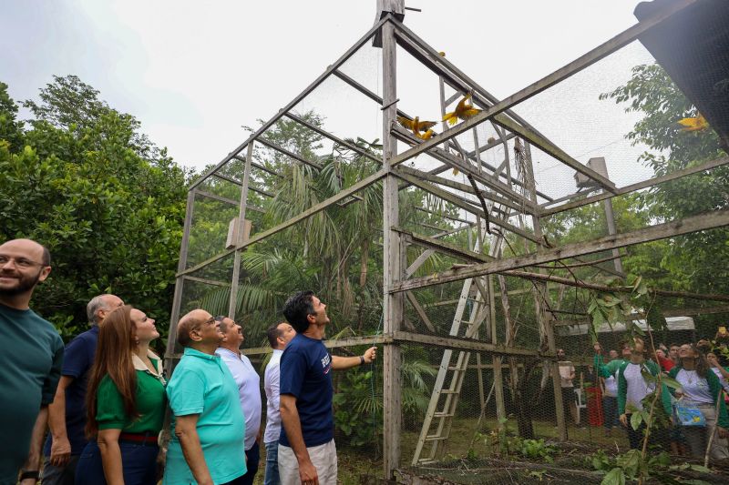  <div class='credito_fotos'>Foto: Rodrigo Pinheiro / Ag.Pará   |   <a href='/midias/2024/originais/18073_553633c6-82aa-a20a-e3cc-f508caa2d524.jpg' download><i class='fa-solid fa-download'></i> Download</a></div>