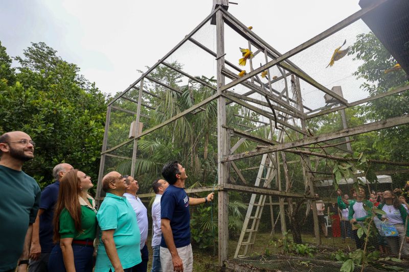  <div class='credito_fotos'>Foto: Rodrigo Pinheiro / Ag.Pará   |   <a href='/midias/2024/originais/18073_60ce3db7-4062-8589-bfcc-756643b2f23a.jpg' download><i class='fa-solid fa-download'></i> Download</a></div>