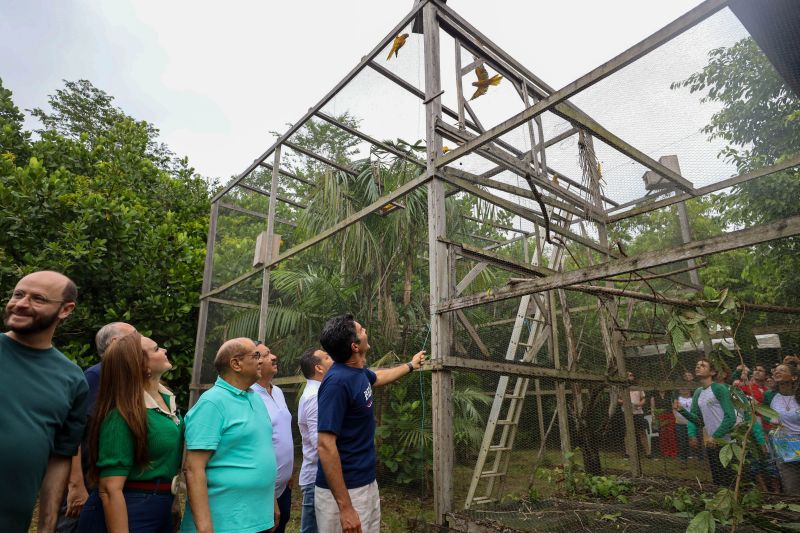  <div class='credito_fotos'>Foto: Rodrigo Pinheiro / Ag.Pará   |   <a href='/midias/2024/originais/18073_68985397-3184-d2bc-5e77-db3c8935e60f.jpg' download><i class='fa-solid fa-download'></i> Download</a></div>