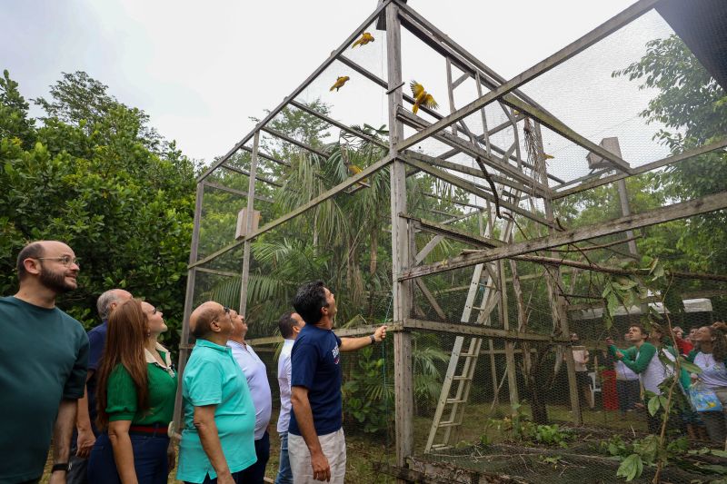  <div class='credito_fotos'>Foto: Rodrigo Pinheiro / Ag.Pará   |   <a href='/midias/2024/originais/18073_95b2f685-a9c4-4213-5ece-ad5898dbe914.jpg' download><i class='fa-solid fa-download'></i> Download</a></div>