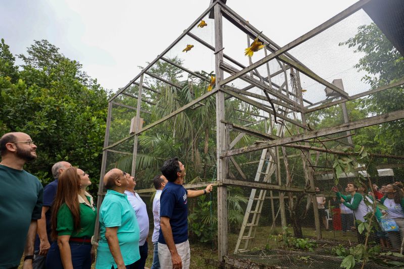  <div class='credito_fotos'>Foto: Rodrigo Pinheiro / Ag.Pará   |   <a href='/midias/2024/originais/18073_b9f7c6f2-b553-8946-32b0-337b70f9b405.jpg' download><i class='fa-solid fa-download'></i> Download</a></div>