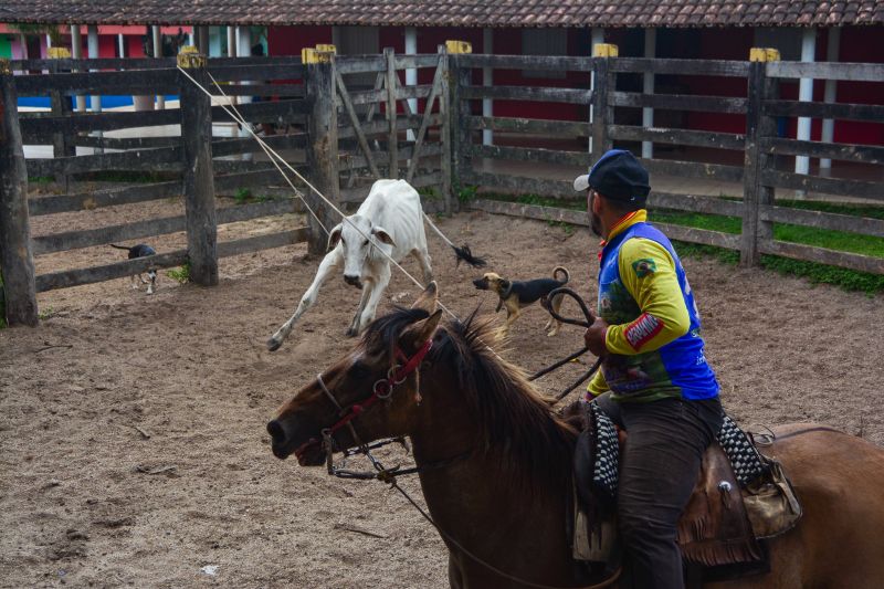  <div class='credito_fotos'>Foto: Divulgação / Agência Pará   |   <a href='/midias/2024/originais/18097_29aff99d-8cfa-6e09-da05-c9a882869577.jpg' download><i class='fa-solid fa-download'></i> Download</a></div>