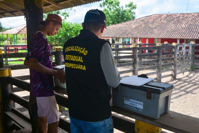  <div class='credito_fotos'>Foto: Divulgação / Agência Pará   |   <a href='/midias/2024/originais/18097_74505e70-962e-1656-5920-ff280bac712f.jpg' download><i class='fa-solid fa-download'></i> Download</a></div>