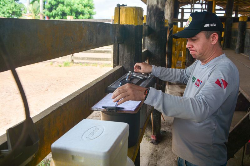  <div class='credito_fotos'>Foto: Divulgação / Agência Pará   |   <a href='/midias/2024/originais/18097_75f6519c-1227-2a03-981b-4a6420052778.jpg' download><i class='fa-solid fa-download'></i> Download</a></div>