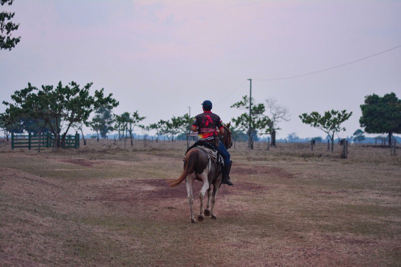  <div class='credito_fotos'>Foto: Divulgação / Agência Pará   |   <a href='/midias/2024/originais/18098_c865de4e-2d80-2472-1853-1df63d987dea.jpg' download><i class='fa-solid fa-download'></i> Download</a></div>