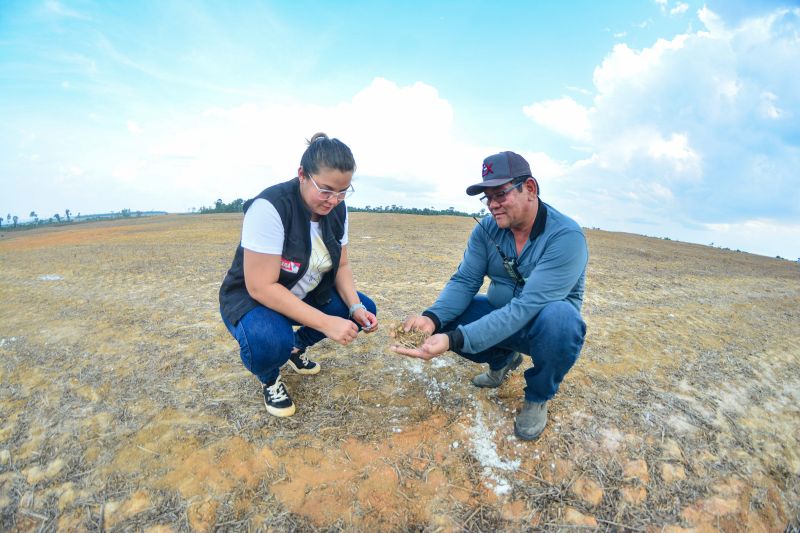  <div class='credito_fotos'>Foto: Divulgação / Agência Pará   |   <a href='/midias/2024/originais/18099_0f6f0505-b03a-fb7a-ff87-4ea45ce804ea.jpg' download><i class='fa-solid fa-download'></i> Download</a></div>