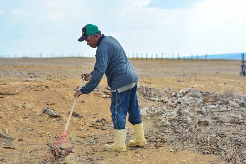  <div class='credito_fotos'>Foto: Divulgação / Agência Pará   |   <a href='/midias/2024/originais/18099_34ba3999-7f9b-aa8a-2792-be3f24e2c186.jpg' download><i class='fa-solid fa-download'></i> Download</a></div>