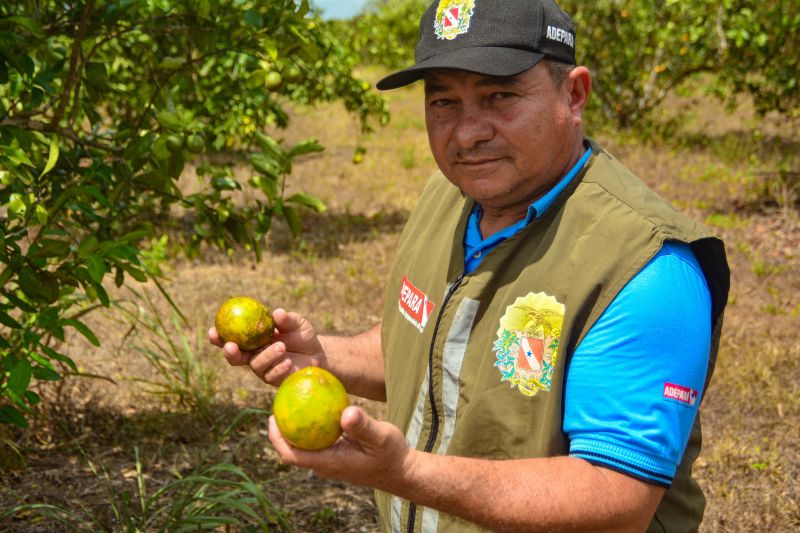  <div class='credito_fotos'>Foto: Divulgação / Agência Pará   |   <a href='/midias/2024/originais/18100_18c8a410-39cb-2c2d-b725-6dda944ce5e1.jpg' download><i class='fa-solid fa-download'></i> Download</a></div>