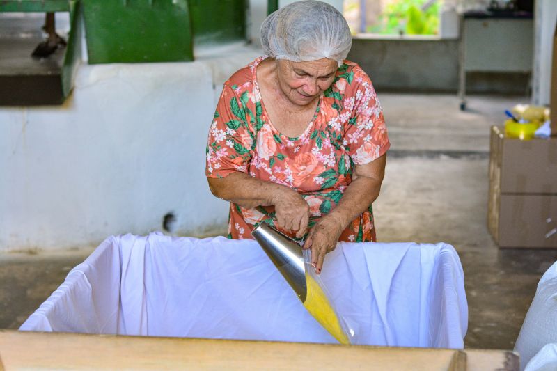  <div class='credito_fotos'>Foto: Divulgação / Agência Pará   |   <a href='/midias/2024/originais/18101_2d2b3c54-4ed9-7603-c343-1668b6fc5e51.jpg' download><i class='fa-solid fa-download'></i> Download</a></div>