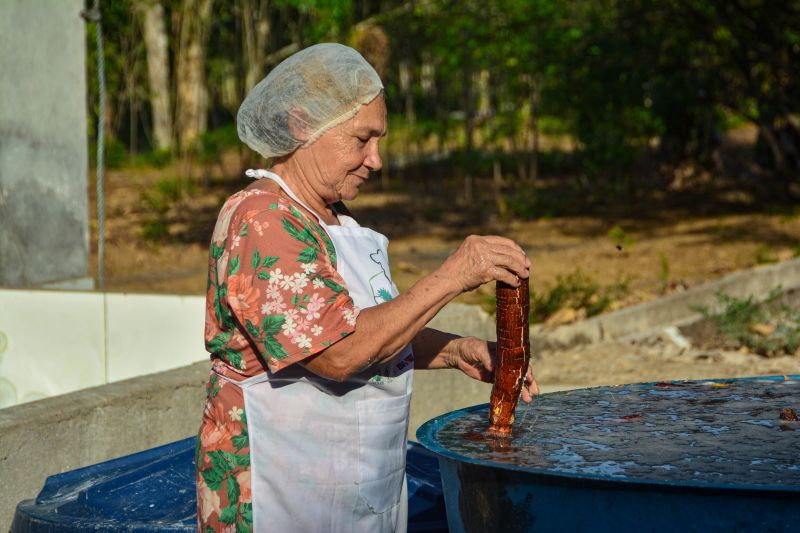  <div class='credito_fotos'>Foto: Divulgação / Agência Pará   |   <a href='/midias/2024/originais/18101_7d7c5cda-c558-bb39-825d-693d21048bb2.jpg' download><i class='fa-solid fa-download'></i> Download</a></div>