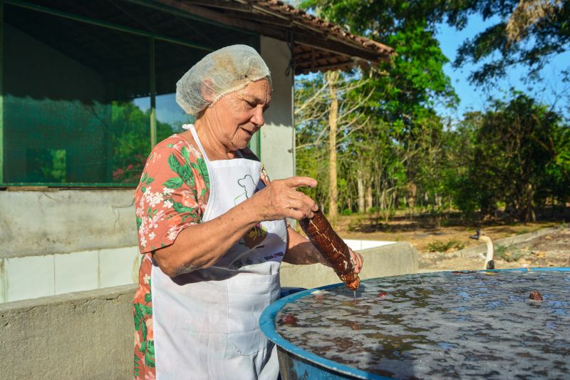  <div class='credito_fotos'>Foto: Divulgação / Agência Pará   |   <a href='/midias/2024/originais/18101_9c6cd718-7221-bf52-d1ca-a53eaf8904d9.jpg' download><i class='fa-solid fa-download'></i> Download</a></div>