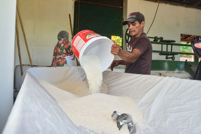  <div class='credito_fotos'>Foto: Divulgação / Agência Pará   |   <a href='/midias/2024/originais/18101_b4ad7914-ea38-fd1e-e536-46c0d5c07a13.jpg' download><i class='fa-solid fa-download'></i> Download</a></div>