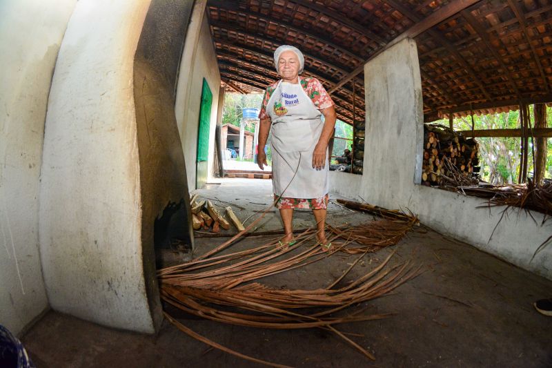  <div class='credito_fotos'>Foto: Divulgação / Agência Pará   |   <a href='/midias/2024/originais/18101_b6cce967-5fed-f512-4723-1c52a355f761.jpg' download><i class='fa-solid fa-download'></i> Download</a></div>