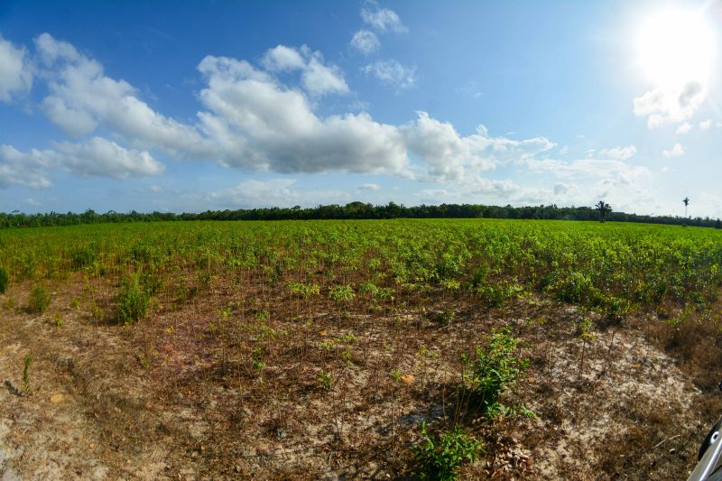  <div class='credito_fotos'>Foto: Divulgação / Agência Pará   |   <a href='/midias/2024/originais/18101_c04f8e54-97fb-7cae-364f-90ec6217889f.jpg' download><i class='fa-solid fa-download'></i> Download</a></div>