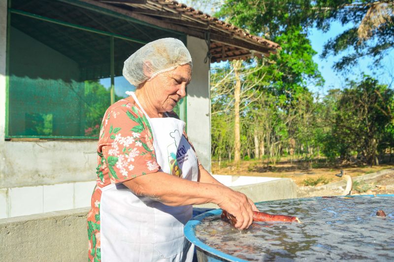  <div class='credito_fotos'>Foto: Divulgação / Agência Pará   |   <a href='/midias/2024/originais/18101_cd590348-7ae1-b7d3-8108-77169407e170.jpg' download><i class='fa-solid fa-download'></i> Download</a></div>